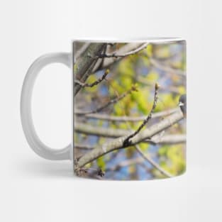 Baltimore Oriole Perched On A Tree Branch Mug